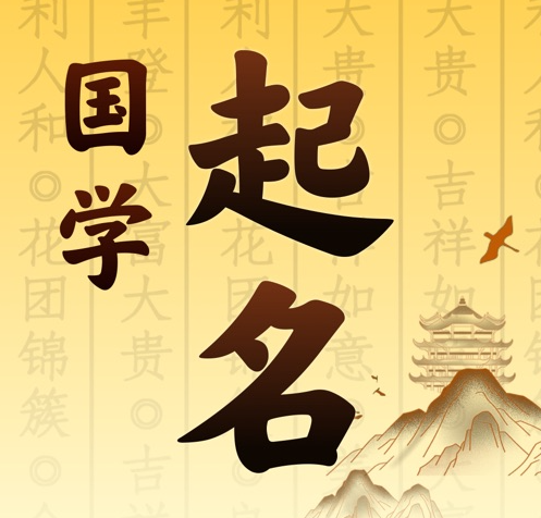 中卫市国学起名 人工起名一对一